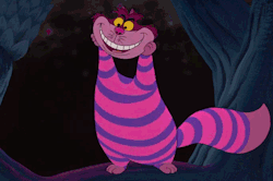 tumblr_n59ezmrhs31soax2qo1_250